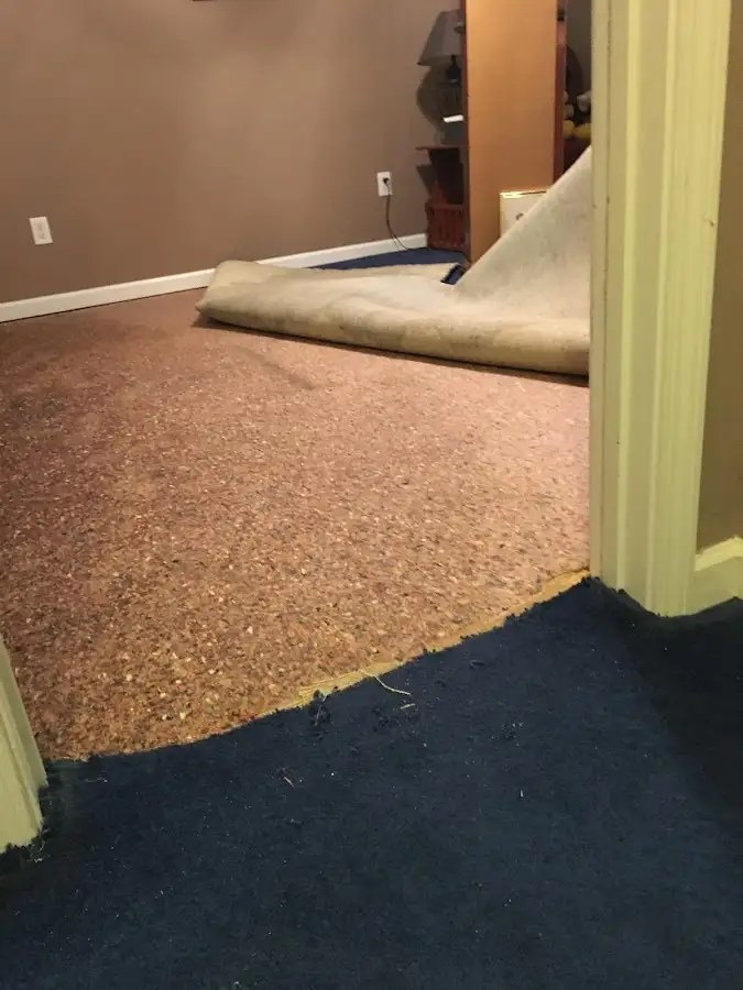 Carpet pad removal revealing water damage during Drying & Dehumidification in Moultrie