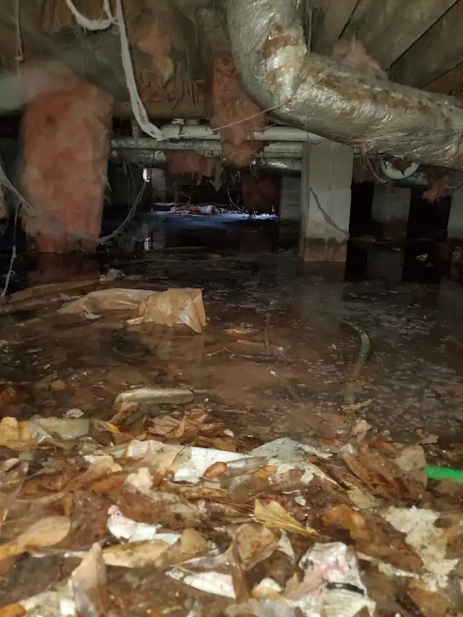 Crawl space flood assessment for Leak Detection & Repair in Moultrie
